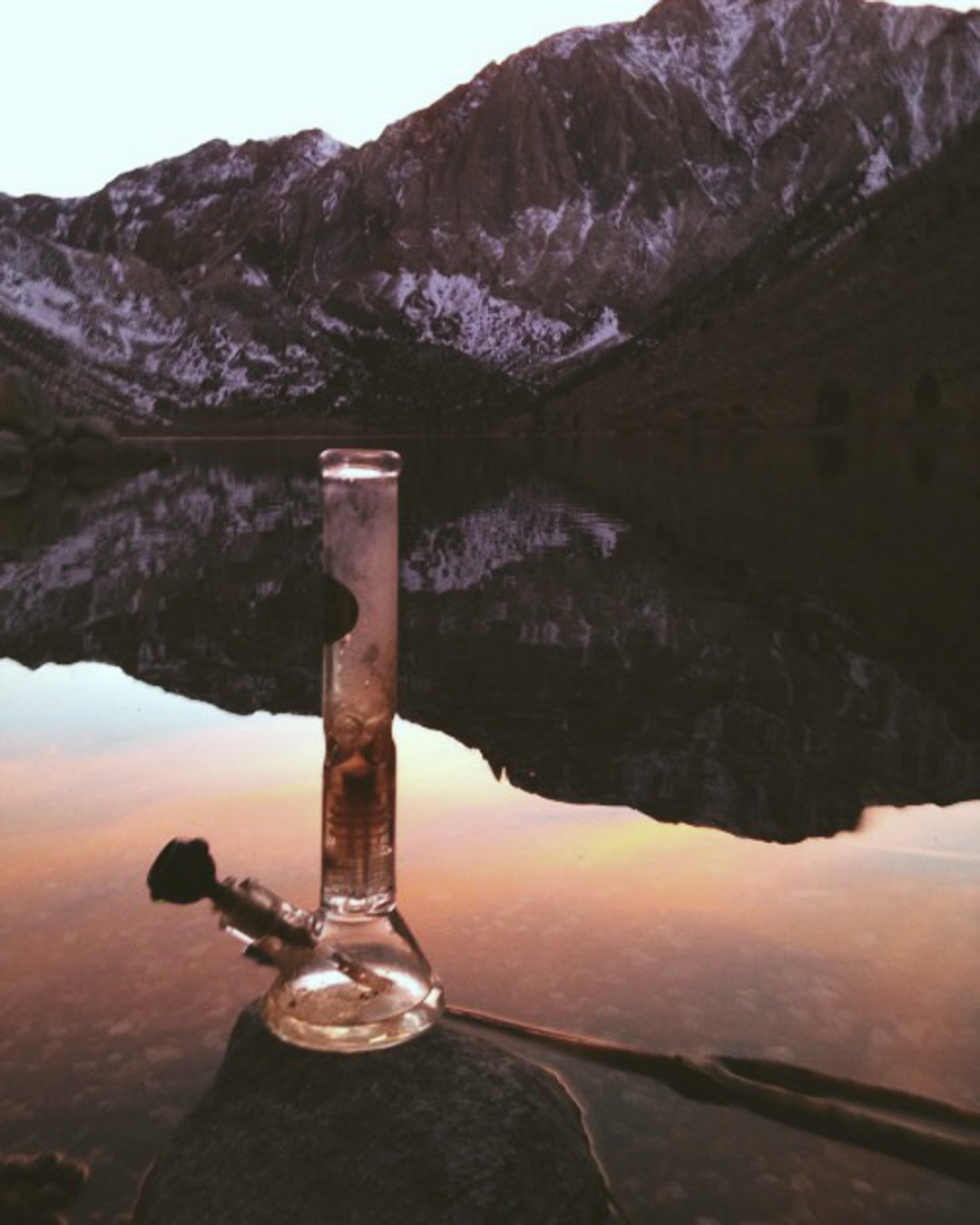 thesublimekush:  weed