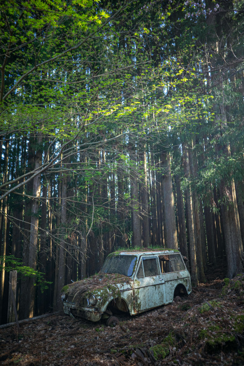 廃ゼットバン→詳細 Abandoned Hijet van.