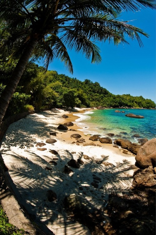 coisasdetere:Praia do Japonês, Ubatuba, São Paulo, Brasil…