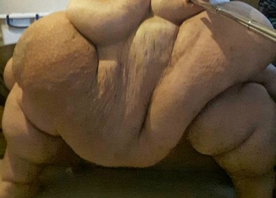 Sex hemtek:Pure fucking LARD! pictures