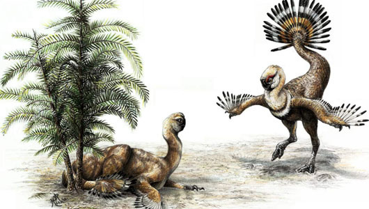 Dinosaurs shook their tail feathers to seduce potential mates     Scientist called oviraptors the ‘odd ducks’ of dinosaur.