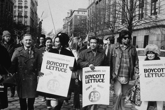 Today’s Historical Headline: Farm labor law a blueprint
The California Agricultural Labor Relations Act was signed into law on today’s date in 1975, following protests and activism like the “Salad Bowl” strike, led by the United Farm Workers and...