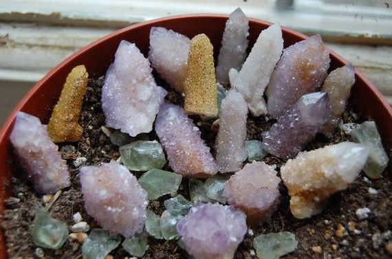 fuckyeahpaganism:  Spirit (Cactus) Quartz (x)