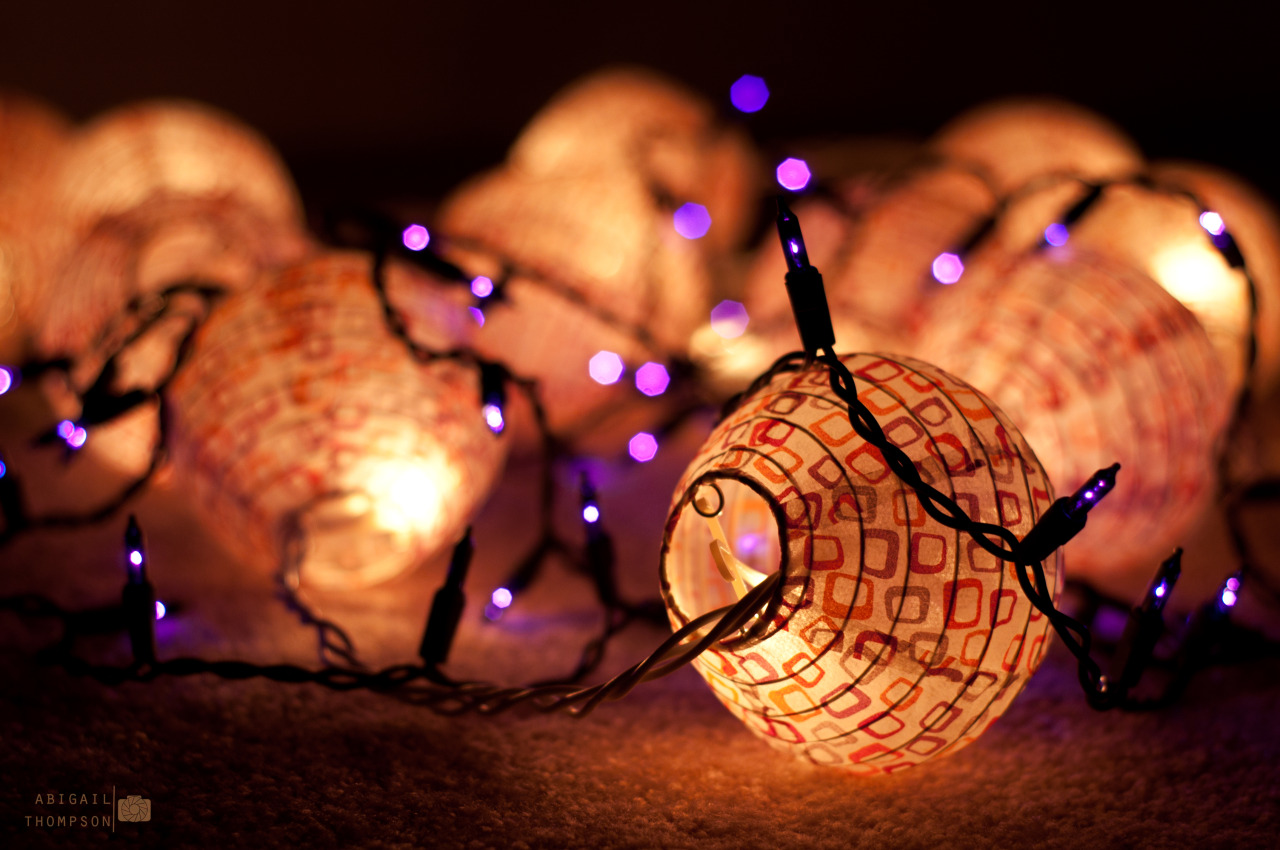blitzenstrapper:  Christmas Lights Porn 