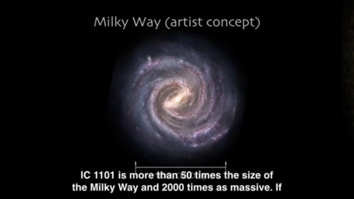“IC 1101 Has Spent Most Of Its Life Colliding With Other Galaxies And Owes Its Size To These Collisions.