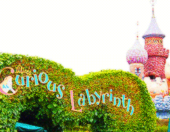  A very magical day at Disneyland Paris 