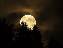 lori-rocks:  In the moon light (by Veridiano3)
