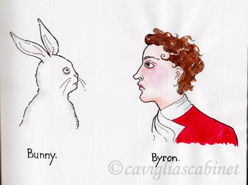 cavigliascabinet:Drawing #8.Bunny. Byron.