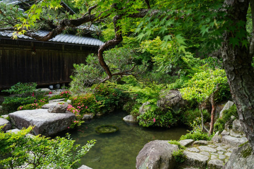 uroko: Kongourin-ji Garden, Shiga Prefecture
