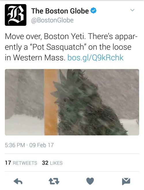 frigidtsarista: massachusetts is truly a magical land