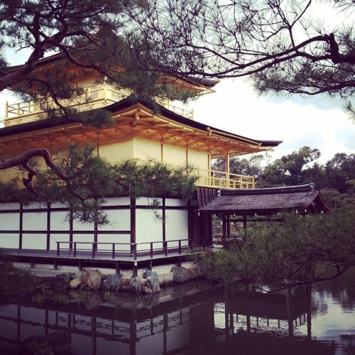 mybobstyle: #gold #palace #pavilion #shogun #kyoto #art #walk #tourism (at 金閣舎利殿 (Golden Pavilion))