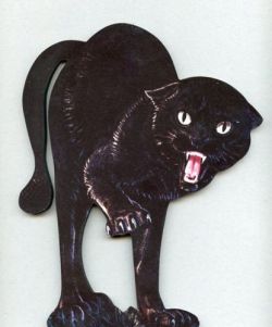 mademoiselle katze
