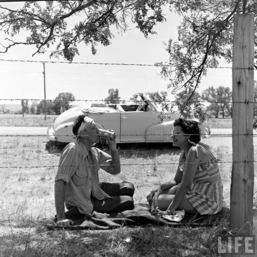 Along US 30(Allan Grant. 1948)