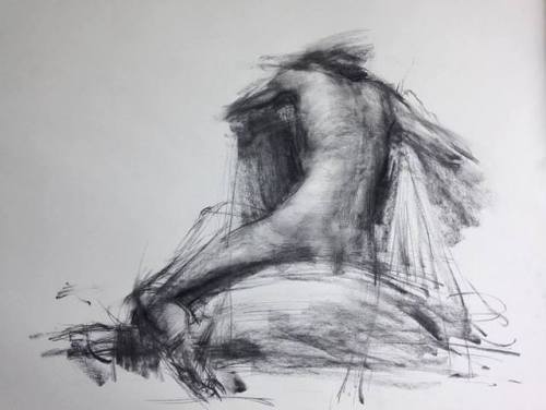 Zin Lim