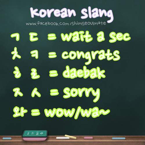 Some Korean Slang *used for texting &amp; chat*