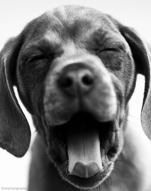 goodgrlgonebad:  Current mood hehe
