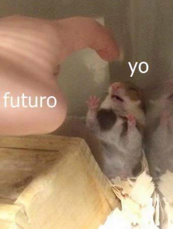 murallamuerta:  Pasa xD