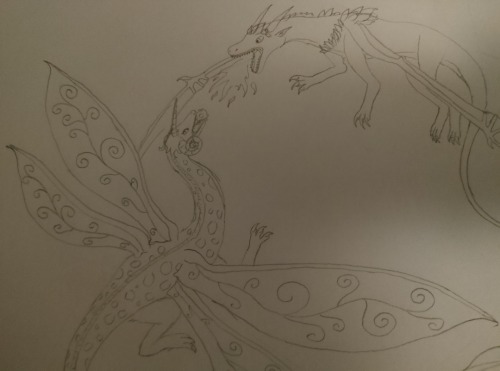 I Started New Drawings.