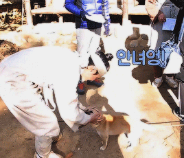 kyungso:kyungsoo and a puppy