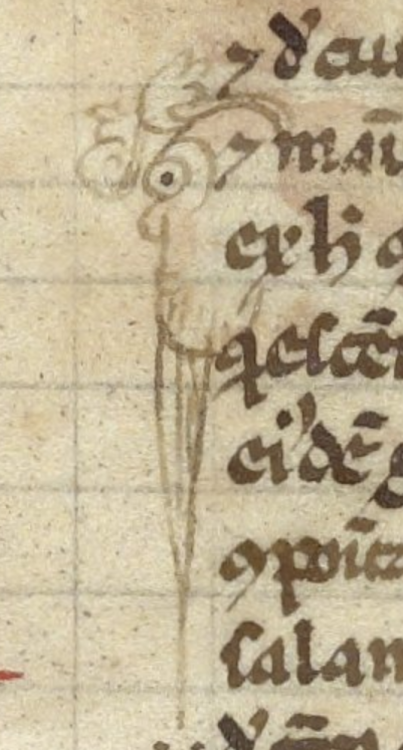 Wee faces from LJS 482, commentaries on Aristotle&rsquo;s De generatione et corruptione and Meteorol