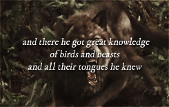 princemaedhros:Characters of the Silmarillion Celegorm the Fair [Turcafinwë Tyelkormo], the third so