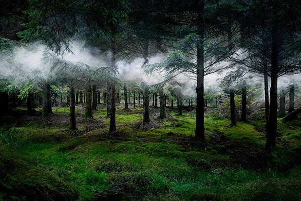 asylum-art:  Ellie Davies lives in London and works in the woods and forests  of