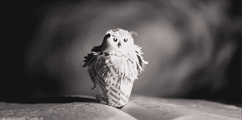 tumblr photo aurevolmente-reborn 0