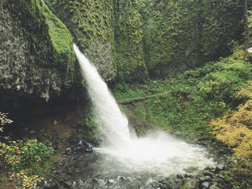 justapplyyourself:Upper Horsetail Falls. Bridal Veil, Oregon.