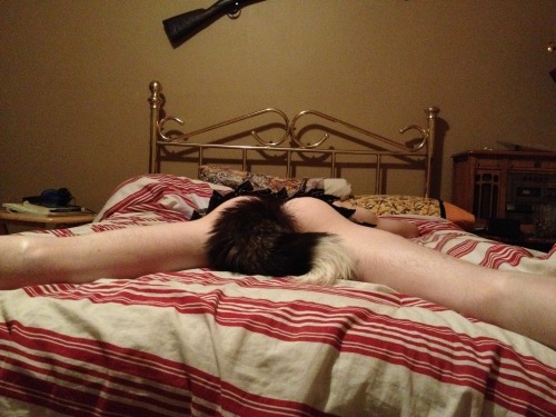 jennifertopaz:  More tail pics! Reblog if you have a tail! 