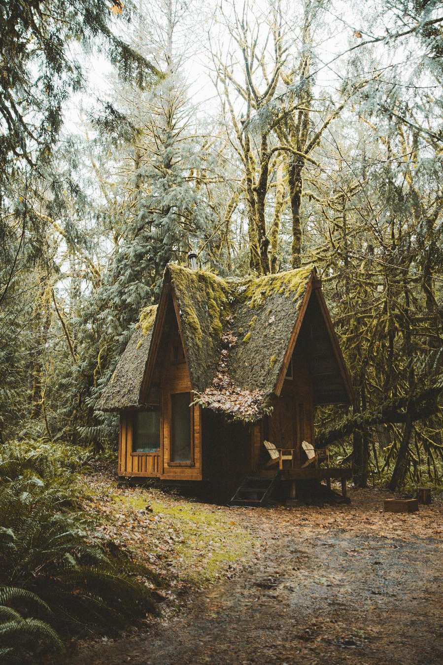my place to hide ↟