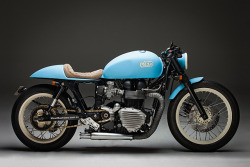 Caferacerpasion:  Triumph Bonneville Cafe Racer Â€Œmooseâ€ By Mean Machines