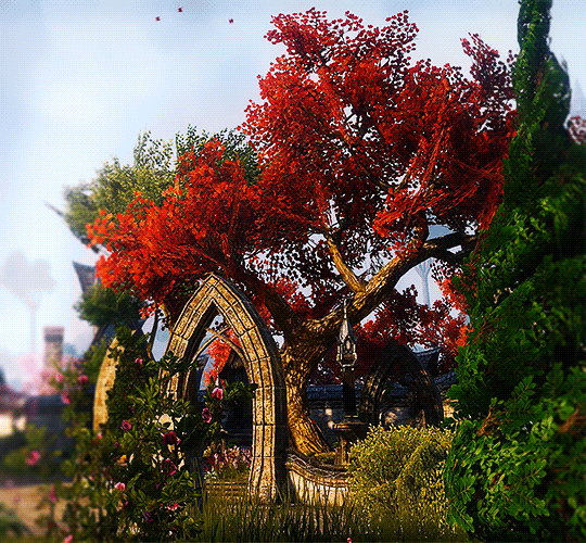lady-of-cinder:↳ The Elder Scrolls OnlineVulkhel Guard, Auridon