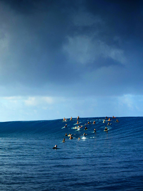 coastalplayground:  paddle battles 