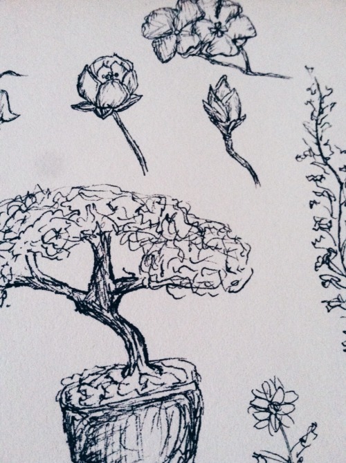 airudite:40/365: Foliage doodles featuring a deteriorating sense of motivation 🌿
