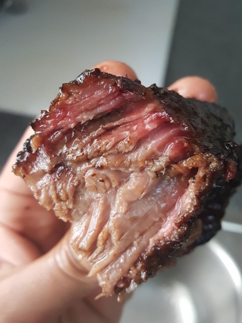 lovesick-hick:   southernsideofme: Just Moist Brisket Malo meska 