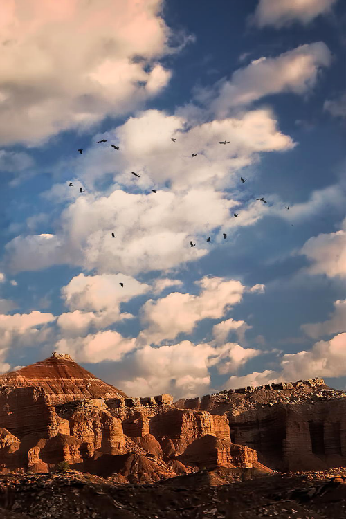 expressions-of-nature:  The Arches National Park by: Edwin Leung  