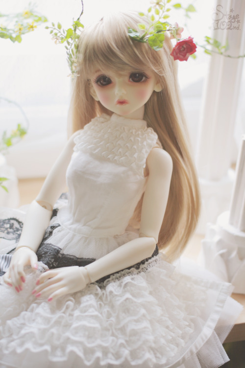 Luts bory&rsquo; April Cinnamon &rsquo;owner. shouette