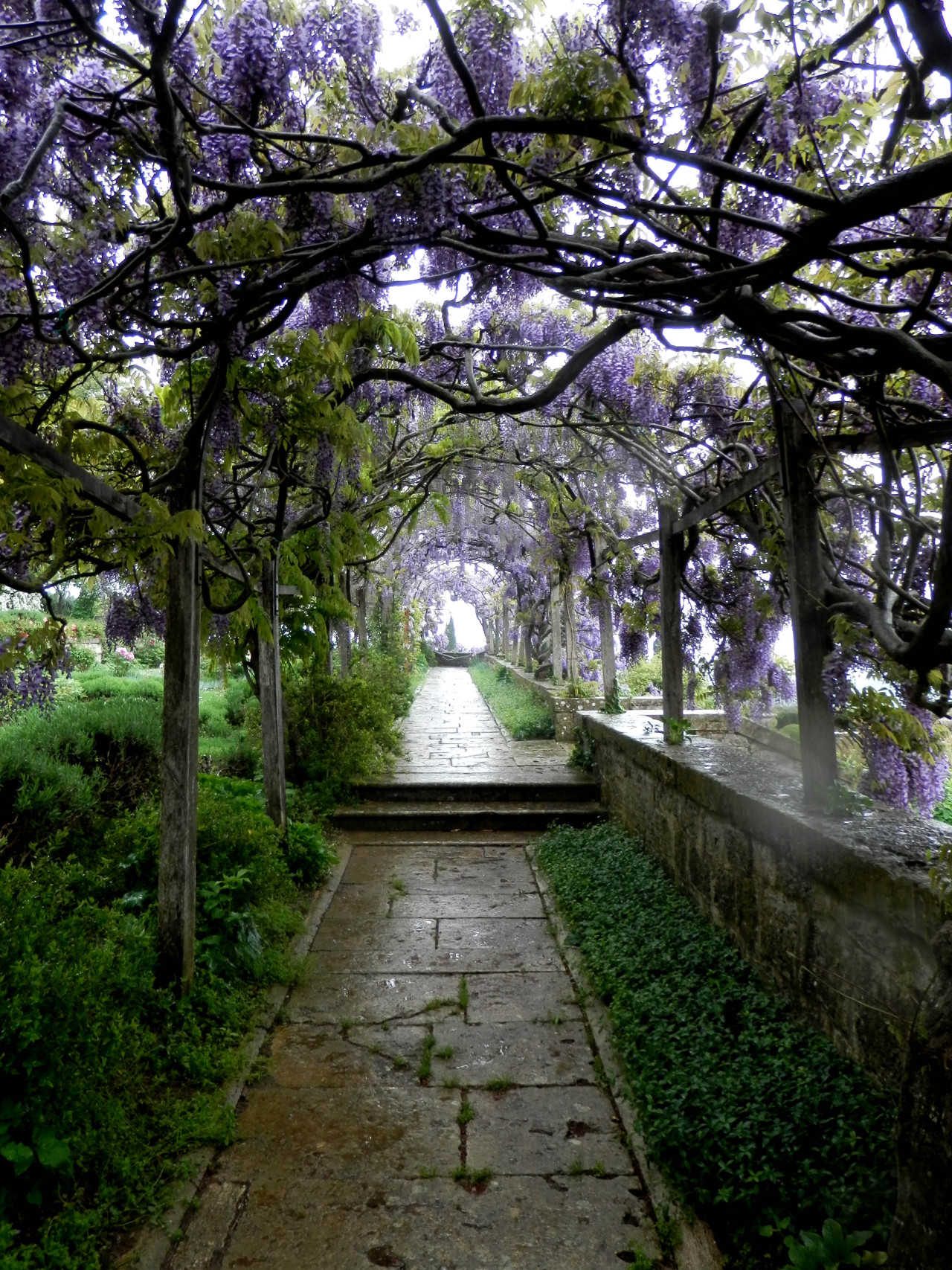vidadesignstudio:  VIDA Landscape Architects + Planners