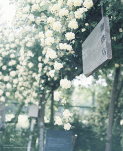 floralls:   (by yukki.m)  