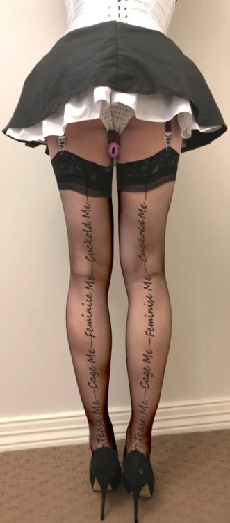 zootops:  Best stockings ever?