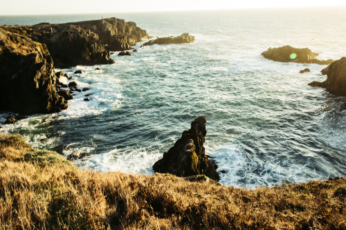 Sea Ranch 