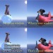 dankmemeuniversity: