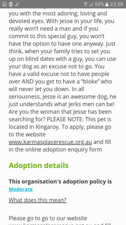 suite-dee-reynolds: Any ladies in Queensland looking for a companion, Jesse is probably the guy for 