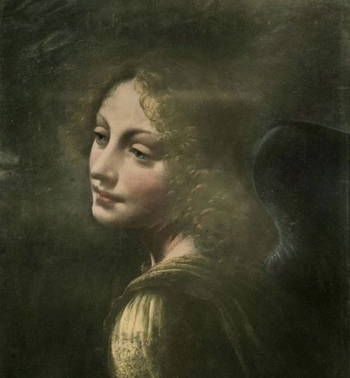 angelsinart:Leonardo Da Vinci, Head of an Angel 