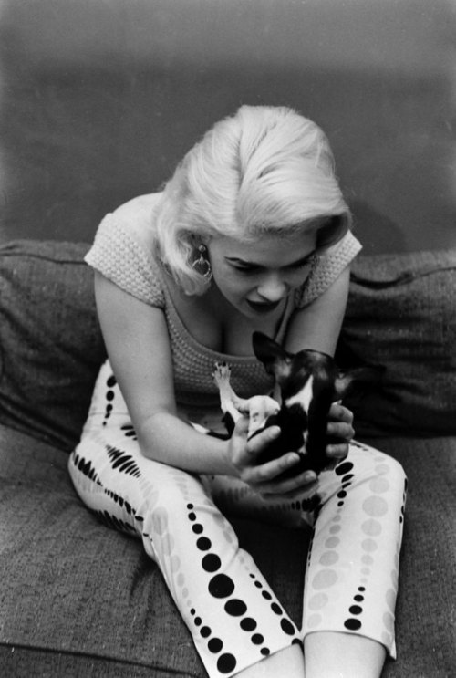 alwaysbevintage: Jayne Mansfield with her pet Chihuahua, at home in Hollywood. Photographed by Peter