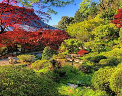 ＼おにわさん更新情報／ ‪[ 新潟県村上市 ] 長楽寺庭園 Chorakuji Temple Garden, Murakami, Niigata の写真・記事を更新しました。 ーー戦国時代には“越後の