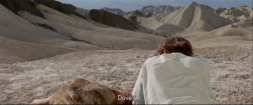 miodecalogo:Zabriskie Point - Michelangelo Antonioni, 1970