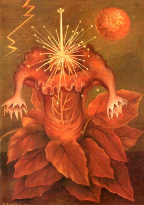 artist-frida:Flower of Life (Flame Flower), 1943, Frida KahloMedium: oil,masonitewww.wikiart