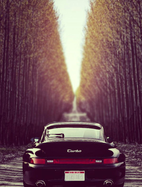 steepstep:  howlvalley:  Turbo  are you ready for a new horizon ? this turbo is still surprisin 