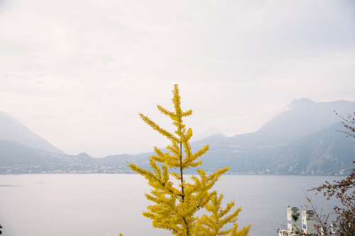 alexandrarog:Varenna, Lago di Como, Italia